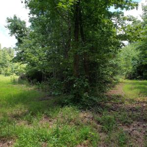 Photo #30 of Old Chinquapin, Beulaville, NC 3.7 acres