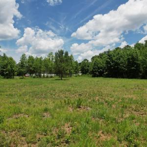 Photo #32 of Old Chinquapin, Beulaville, NC 3.7 acres