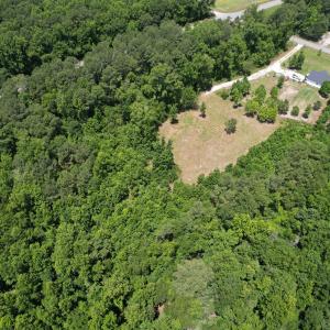 Photo #9 of Old Chinquapin, Beulaville, NC 3.7 acres