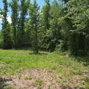 Photo #24 of Old Chinquapin, Beulaville, NC 3.7 acres