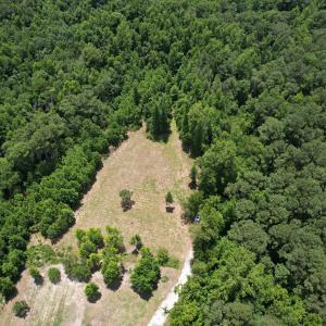 Photo #1 of Old Chinquapin, Beulaville, NC 3.7 acres