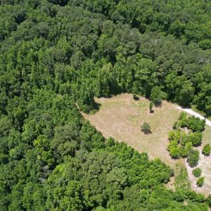 Photo #11 of Old Chinquapin, Beulaville, NC 3.7 acres