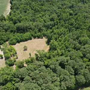 Photo #3 of Old Chinquapin, Beulaville, NC 3.7 acres