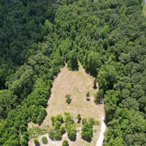 Photo #13 of Old Chinquapin, Beulaville, NC 3.7 acres