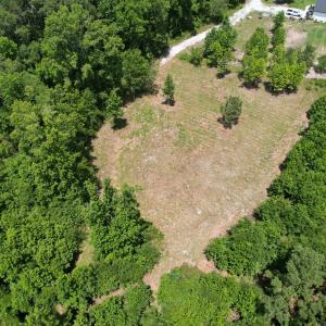 Photo #16 of Old Chinquapin, Beulaville, NC 3.7 acres