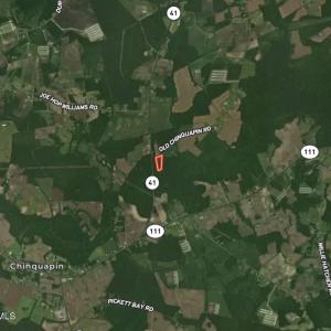 Photo #41 of Old Chinquapin, Beulaville, NC 3.7 acres