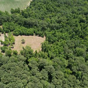 Photo #4 of Old Chinquapin, Beulaville, NC 3.7 acres