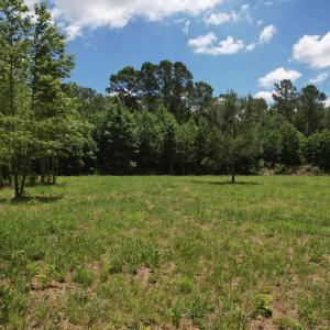 Photo #22 of Old Chinquapin, Beulaville, NC 3.7 acres