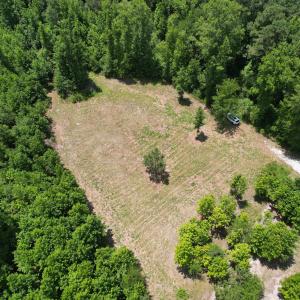 Photo #19 of Old Chinquapin, Beulaville, NC 3.7 acres