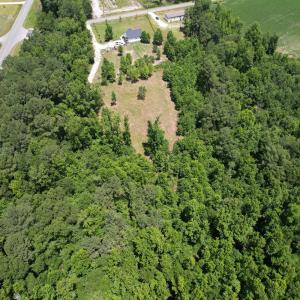 Photo #7 of Old Chinquapin, Beulaville, NC 3.7 acres