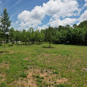 Photo #25 of Old Chinquapin, Beulaville, NC 3.7 acres