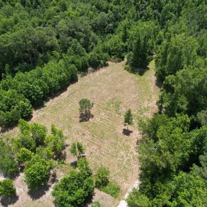 Photo #14 of Old Chinquapin, Beulaville, NC 3.7 acres