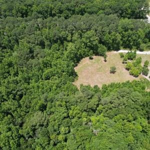 Photo #10 of Old Chinquapin, Beulaville, NC 3.7 acres