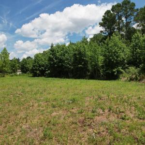 Photo #33 of Old Chinquapin, Beulaville, NC 3.7 acres
