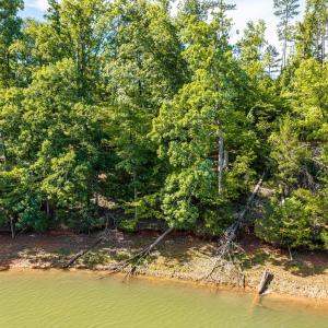 Photo #11 of 280 Lee, Modoc, SC 0.5 acres