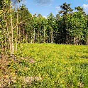 Photo #6 of Lot 1 Tracy, Burgaw, NC 1.0 acres