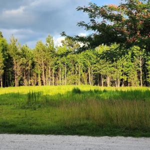 Photo #3 of Lot 1 Tracy, Burgaw, NC 1.0 acres