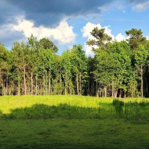 Photo #1 of Lot 1 Tracy, Burgaw, NC 1.0 acres