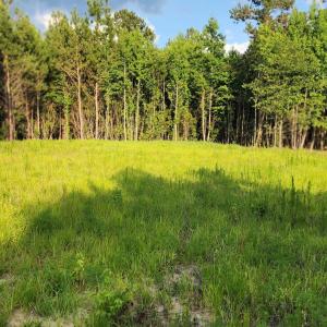 Photo #8 of Lot 1 Tracy, Burgaw, NC 1.0 acres
