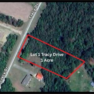 Photo #2 of Lot 1 Tracy, Burgaw, NC 1.0 acres