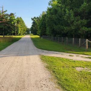 Photo #7 of Lot 1 Tracy, Burgaw, NC 1.0 acres