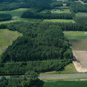 Photo #5 of 1419 Mable Spaulding, Whiteville, NC 18.6 acres