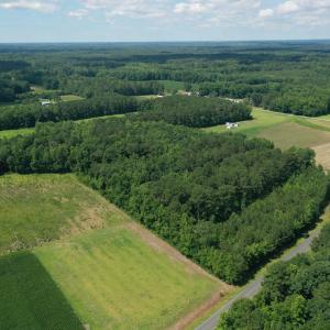 Photo #13 of 1419 Mable Spaulding, Whiteville, NC 18.6 acres