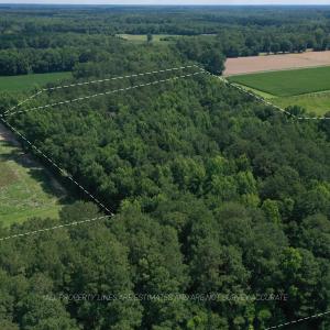 Photo #14 of 1419 Mable Spaulding, Whiteville, NC 18.6 acres