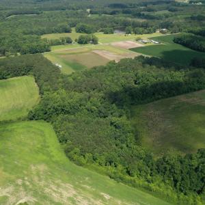 Photo #9 of 1419 Mable Spaulding, Whiteville, NC 18.6 acres