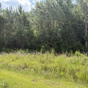 Photo #4 of 1419 Mable Spaulding, Whiteville, NC 18.6 acres
