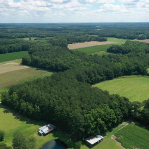 Photo #11 of 1419 Mable Spaulding, Whiteville, NC 18.6 acres