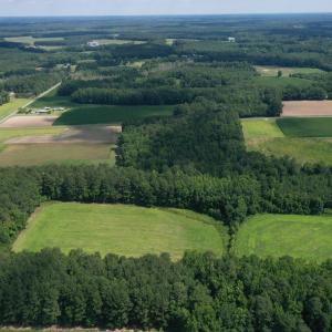Photo #10 of 1419 Mable Spaulding, Whiteville, NC 18.6 acres