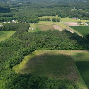 Photo #8 of 1419 Mable Spaulding, Whiteville, NC 18.6 acres
