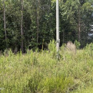 Photo #3 of 1419 Mable Spaulding, Whiteville, NC 18.6 acres