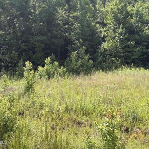 Photo #16 of 1419 Mable Spaulding, Whiteville, NC 18.6 acres