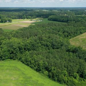 Photo #15 of 1419 Mable Spaulding, Whiteville, NC 18.6 acres