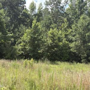 Photo #2 of 1419 Mable Spaulding, Whiteville, NC 18.6 acres
