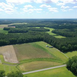 Photo #12 of 1419 Mable Spaulding, Whiteville, NC 18.6 acres