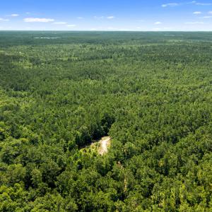 Photo #9 of Tbd 110 Acres American Way, Rocky Point, NC 110.0 acres