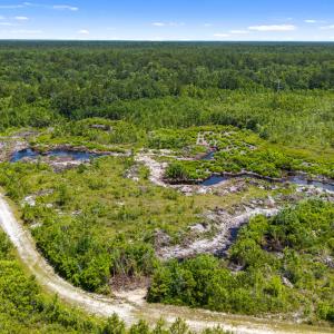 Photo #5 of Tbd 110 Acres American Way, Rocky Point, NC 110.0 acres