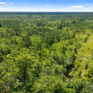 Photo #4 of Tbd 110 Acres American Way, Rocky Point, NC 110.0 acres