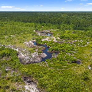 Photo #10 of Tbd 110 Acres American Way, Rocky Point, NC 110.0 acres