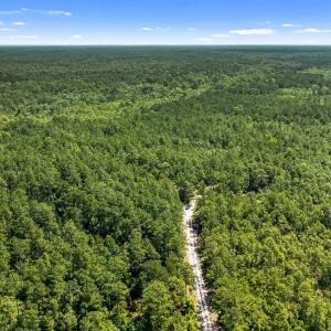 Photo #6 of Tbd 110 Acres American Way, Rocky Point, NC 110.0 acres