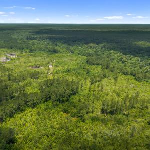 Photo #8 of Tbd 110 Acres American Way, Rocky Point, NC 110.0 acres