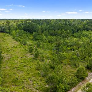 Photo #3 of Tbd 110 Acres American Way, Rocky Point, NC 110.0 acres