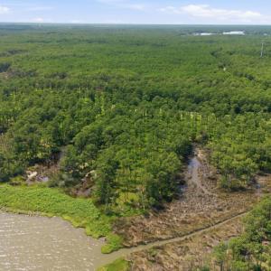 Photo #10 of 143 River Watch, Oriental, NC 4.6 acres