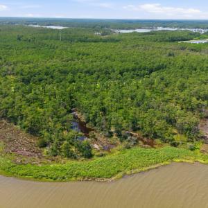 Photo #11 of 143 River Watch, Oriental, NC 4.6 acres