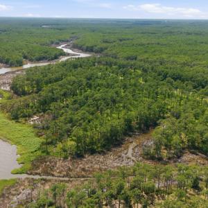 Photo #9 of 143 River Watch, Oriental, NC 4.6 acres