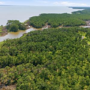 Photo #7 of 143 River Watch, Oriental, NC 4.6 acres