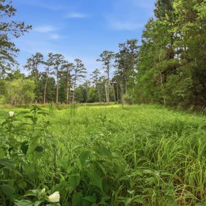 Photo #10 of 2409 Turtle Bay, New Bern, NC 0.6 acres